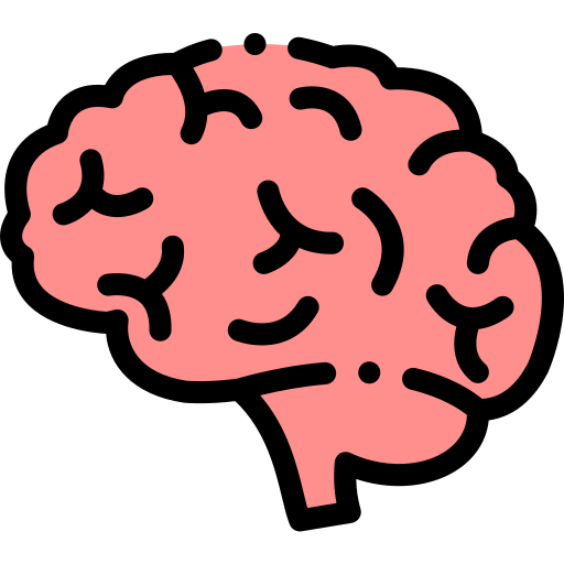 brain